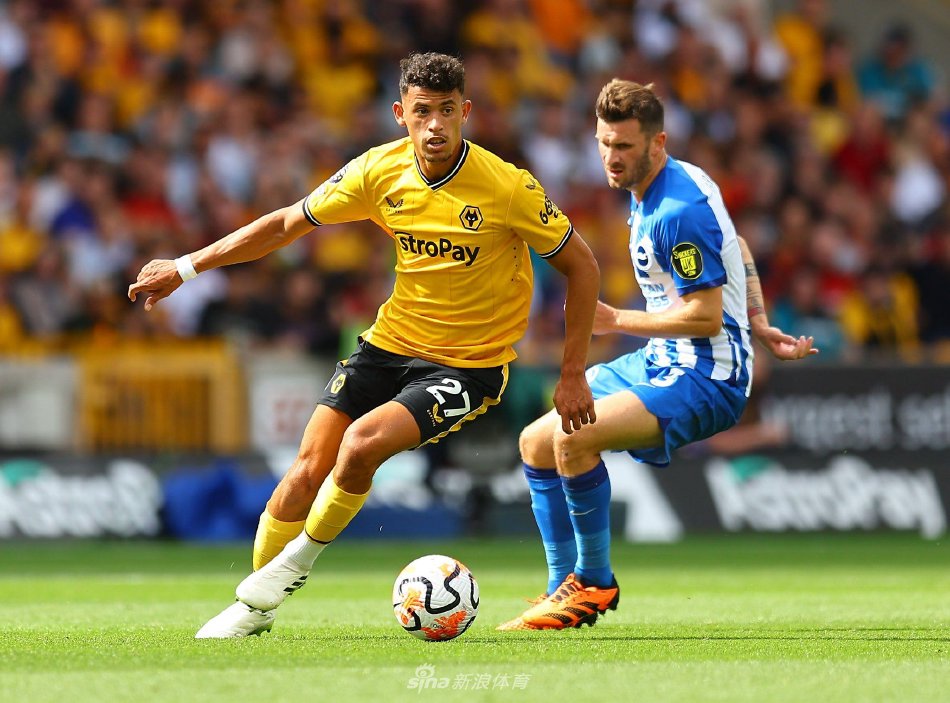 他不仅限制 他不仅限制